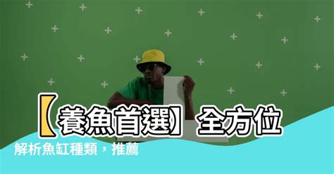 養魚 種類|新手養魚首選魚類有哪些？－風生水起「燈」好運。